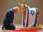 golden calf